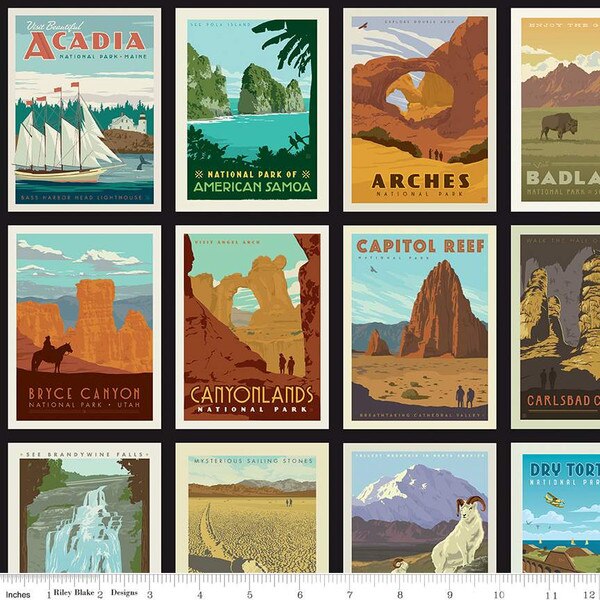 National Parks Posters Black Riley Blake Designs
